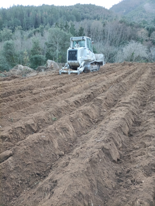 Tot això tornen a ser camps.