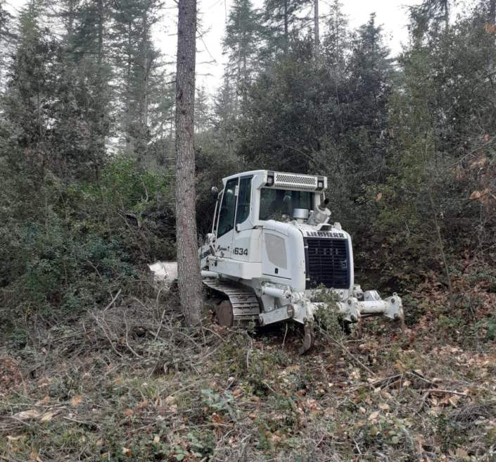 Liebherr 1634 per netejar un bosc.